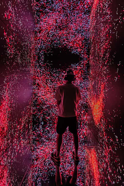 VIDENIE Immersive Art Space Entry Ticket - Price, booking flexibility, and practical value