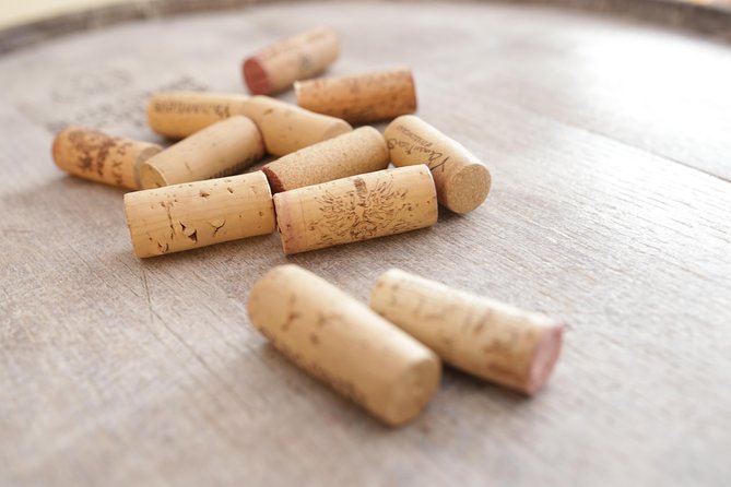 Wine Tasting in Heart of Sofia - What the one-hour format really gives you