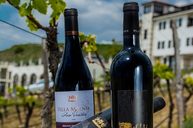 Wine Tasting & More in Villa Melnik – One of the World’s Best Wineries - The village setting in Harsovo