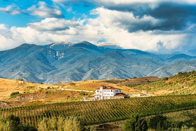 Wine Tasting & More in Villa Melnik – One of the World’s Best Wineries - A private format for your own group