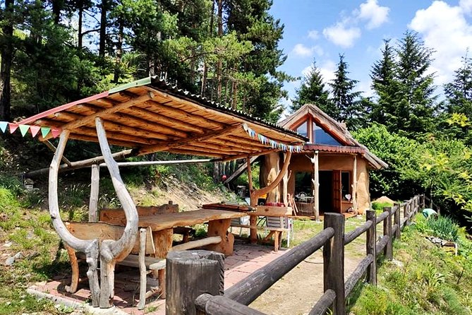 Zip Line & Via Ferrata Experience in the Rhodope Mountains - Is $54.56 good value?